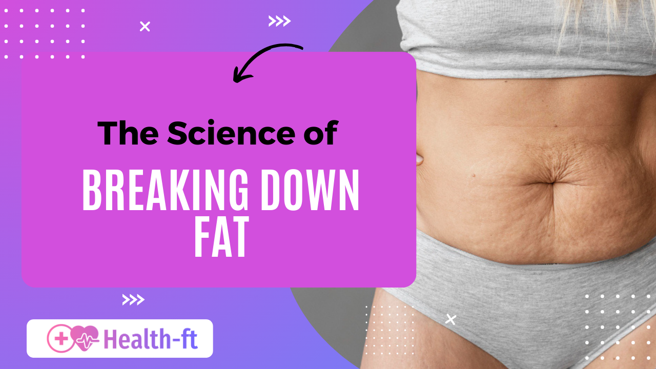 The Science of Breaking Down Fat