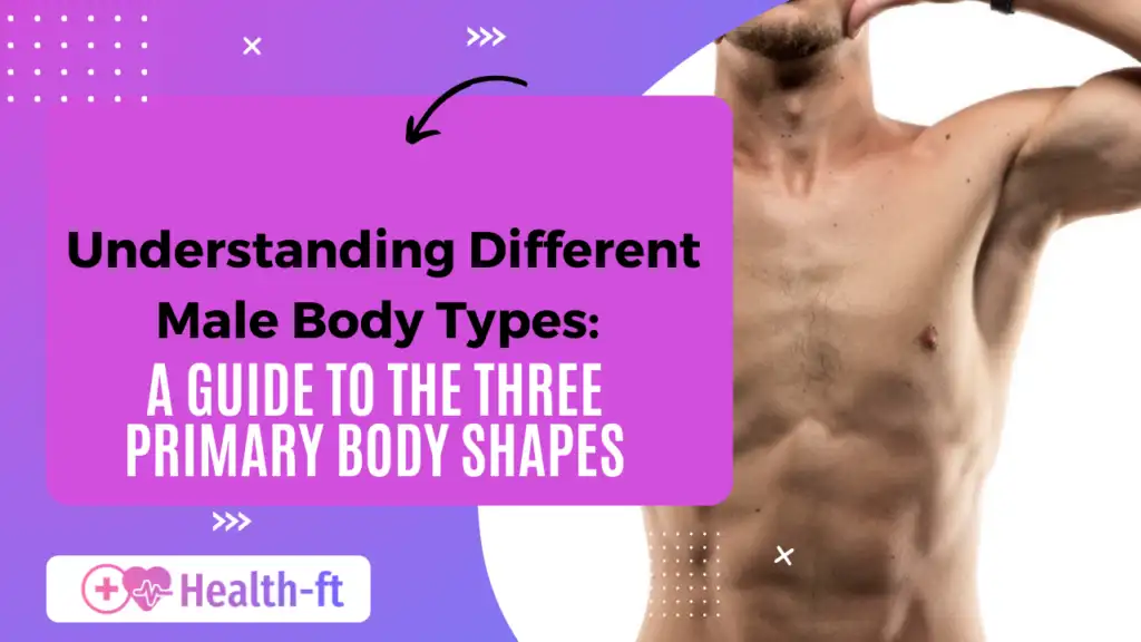 Male Body Types 3 Proven Body Types and Best Fitness Tips