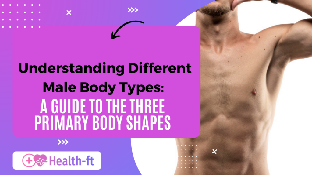 Understanding Different Male Body Types A Guide to the Three Primary Body Shapes