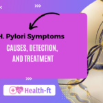 H. Pylori Symptoms Causes, Detection, and Treatment
