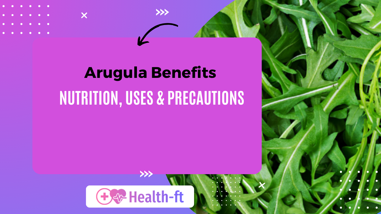 Arugula Benefits: nutrition, uses and precautions, fresh arugula leaves in a bowl